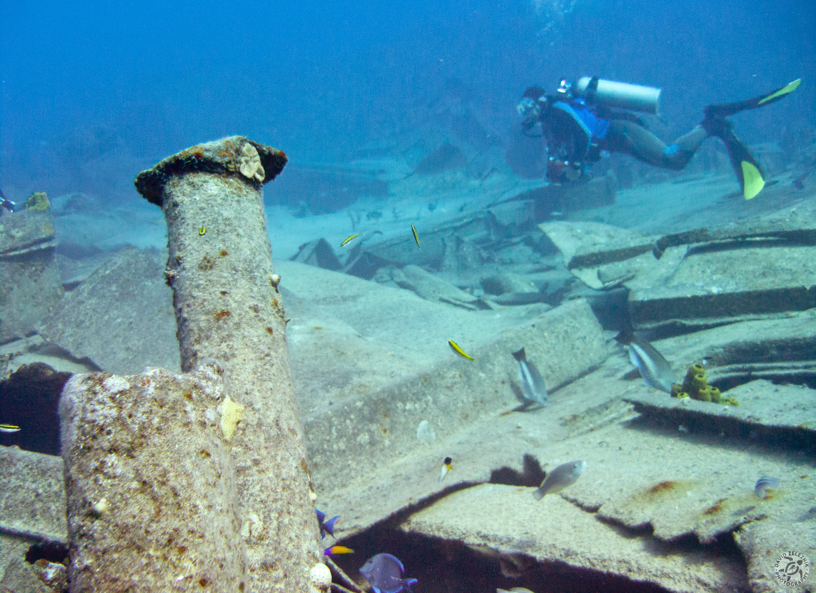 GrandCaymanDiving2011-060b