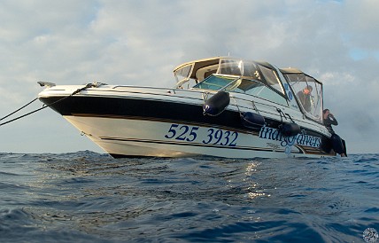 GrandCaymanDiving2011-002.jpg