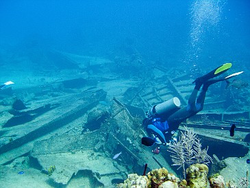 Jan 30, 2011 10:23 AM : Diving, Grand Cayman