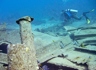 Jan 30, 2011 10:24 AM : Diving, Grand Cayman