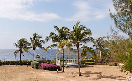 GrandCayman2011-027