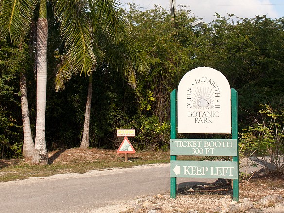 Later we visit the Queen Elizabeth Botanic Park in the center of the island Jan 31, 2011 2:18 PM : Grand Cayman