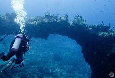 The second dive with Chris was at Bonnie's Arch Jan 30, 2012 9:29 AM : Diving, Grand Cayman