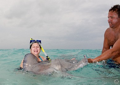 StingrayCity2012-006 Stingrays don't have teeth, just cartilage grinders and lots of suction. Maxine gets some smooches and hickeys from a hungry stingray.