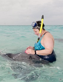 The stingrays are velvety soft and can be petted like friendly dogs. Feb 3, 2012 1:58 PM : Diving, Grand Cayman, Maxine Klein
