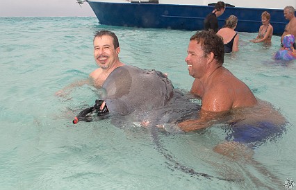 Dave gets a stingray hickey too Feb 3, 2012 2:04 PM : David Zeleznik, Diving, Grand Cayman