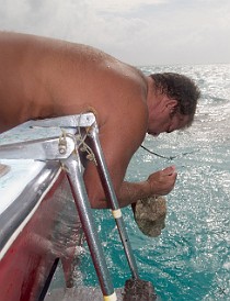 StingrayCity2012-040 After the sandbar at Stingray City, Chris motored us back to an area in the North Sound where he dove for conch. Here he is using a hammer and a knife to get it...