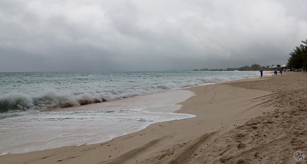 CaymanCookout2014Day1-003 Friday morning rough weather and seas, they're battening down the hatches on the beachfront culinary demos. Rain at 45 degrees with 20mph winds makes for a...