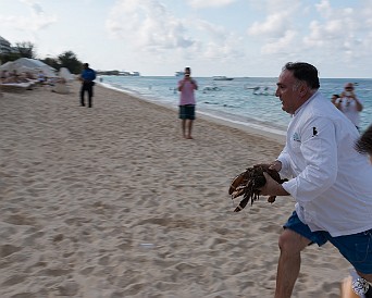 CaymanCookout2015Day1-030 Gotta get those lobsters back to the tent and into the frying (or paella) pan