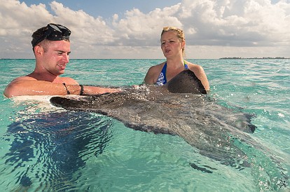 CaymanCookout2015Day2-021 The crew from Red Sail Sports shows Ilona Thompson how to cradle the stingray without lifting its gills out of the water- which would be a not-so-very-good...