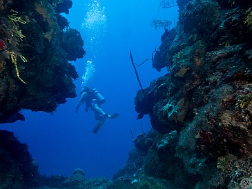 Little Tunnels dive site Grand Cayman First dive of the trip at Little Tunnels dive site. Huge cuts and channels in the reef at 60-70 ft open out to the open blue and the wall that descends another...
