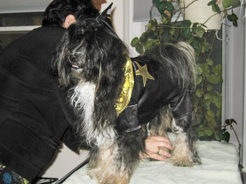 Halloween2005-05 Mommy is making sure I am ready to greet all the goblins and witches.