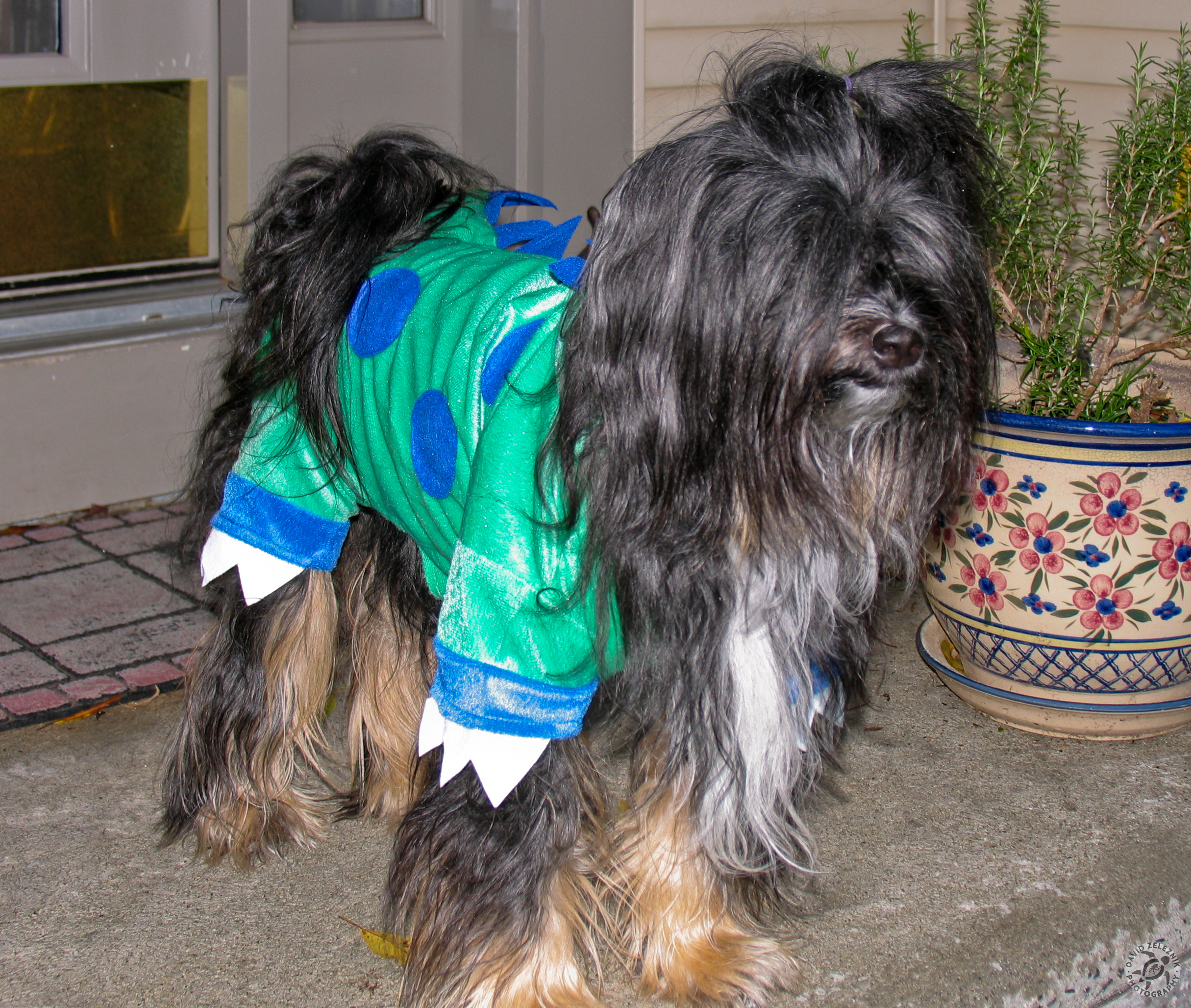 Halloween2009-06