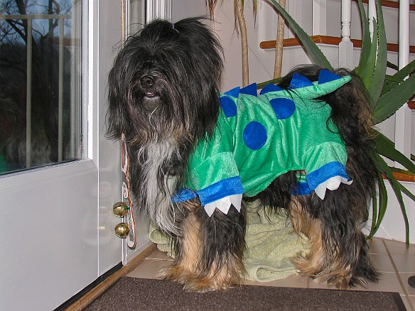 Waiting by the door for the first trick-or-treaters of the evening Oct 31, 2009 5:39 PM : Halloween, Josie