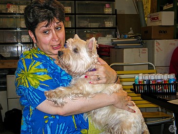 Oahu2004-011 The workshop mascot Nancy will not be ignored