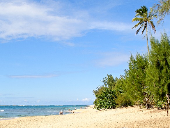 May 20, 2008 4:33 PM : Kauai