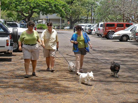 We arrived in Honolulu on  Mother's Day weekend. Our first activity was to take Nancy, Emily, and Andy to the Hawaii Pet Expo at the Blaisdell Center. May 11, 2008 11:58 AM : Andy, Debra Zeleznik, Emily, Mary Wilkowski, Maxine Klein, Nancy, Oahu