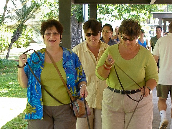 Max has Andy show his best side forward May 11, 2008 12:01 PM : Andy, Debra Zeleznik, Emily, Mary Wilkowski, Maxine Klein, Nancy, Oahu