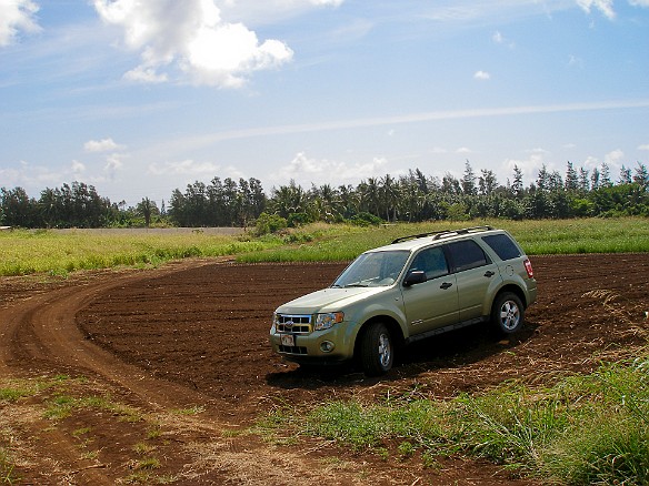 May 13, 2008 9:43 AM : Oahu