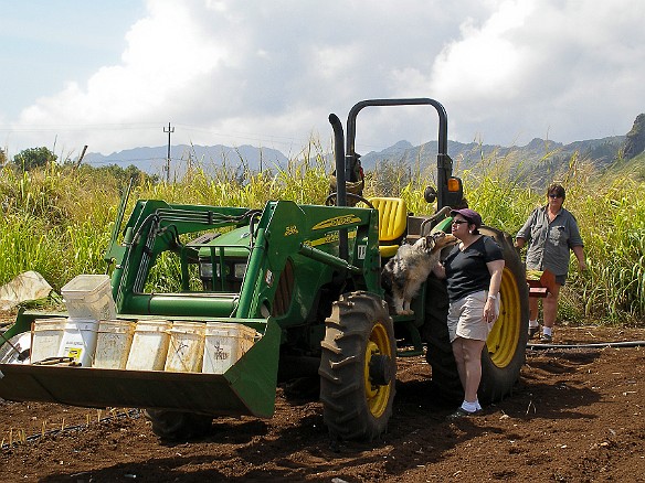 May 13, 2008 10:00 AM : Mary Wilkowski, Maxine Klein, Oahu