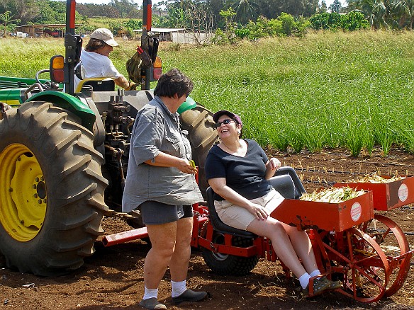 Max checks out the seating position for a planting run May 13, 2008 10:01 AM : Mary Wilkowski, Maxine Klein, Oahu