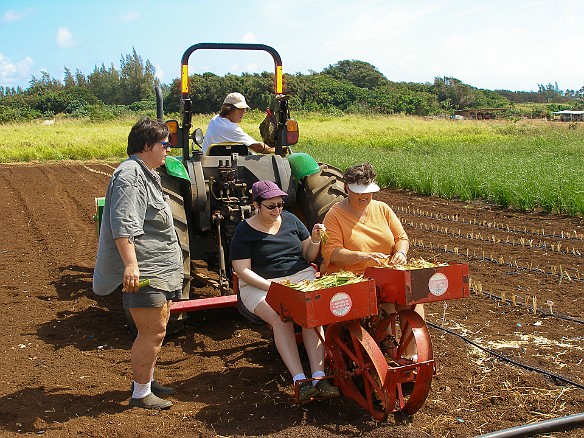 Deb explains to Max how this is all supposed to work. May 13, 2008 10:02 AM : Debra Zeleznik, Mary Wilkowski, Maxine Klein, Oahu