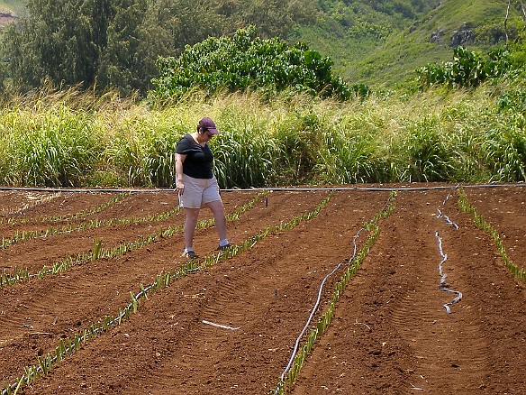 May 13, 2008 11:29 AM : Maxine Klein, Oahu