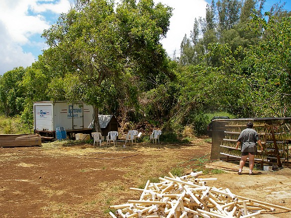 May 13, 2008 11:33 AM : Oahu