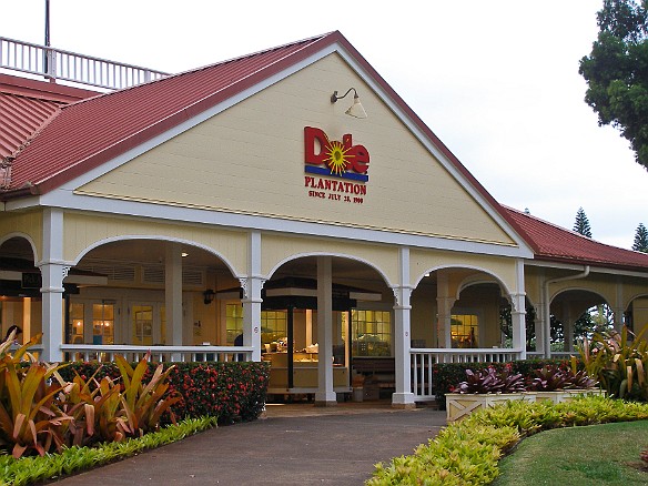 We headed back to Honolulu past the Dole Plantation where Deb needed to stop in to check on her product displays May 13, 2008 5:15 PM : Oahu