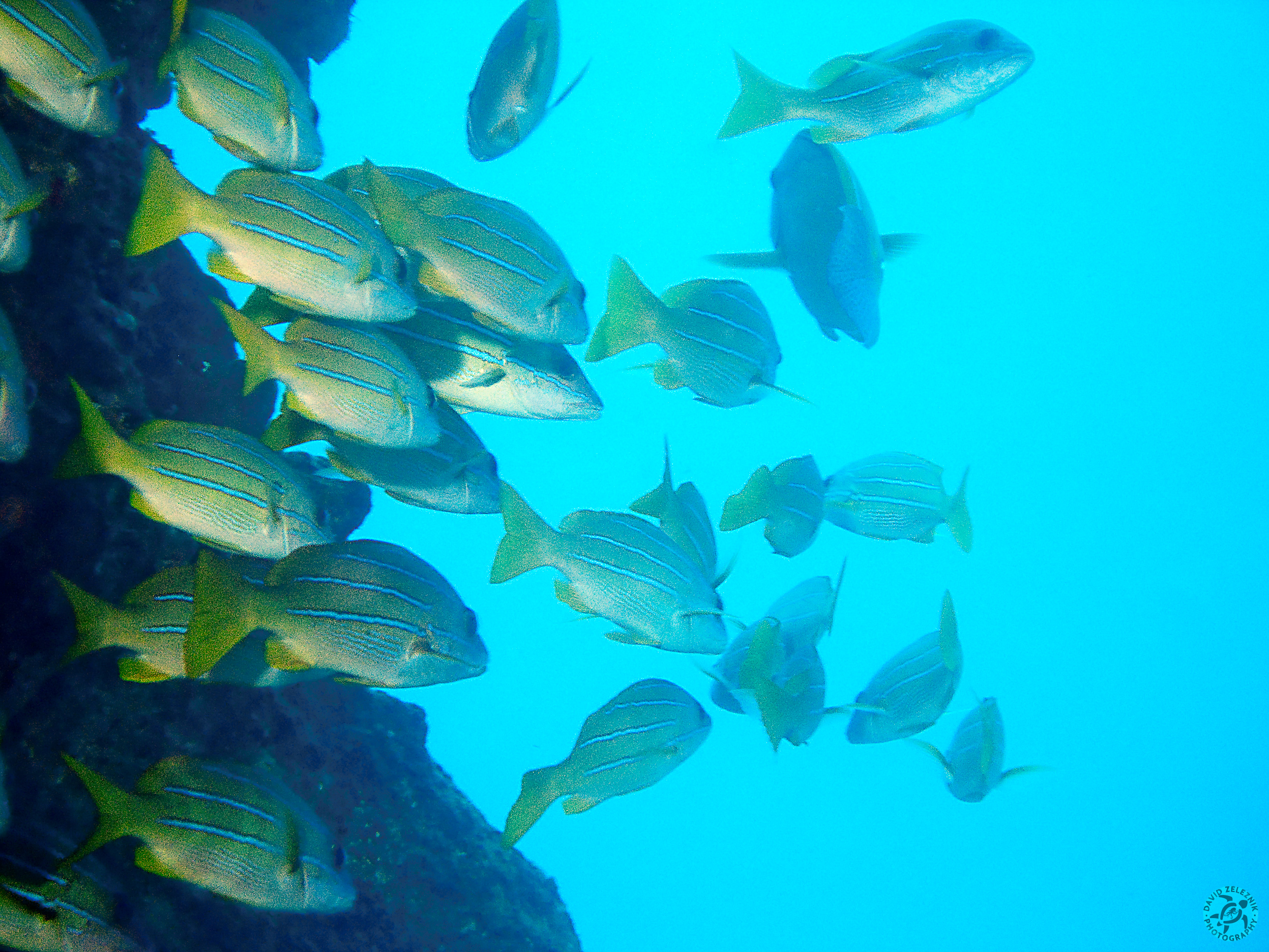 Hawaii2009-024