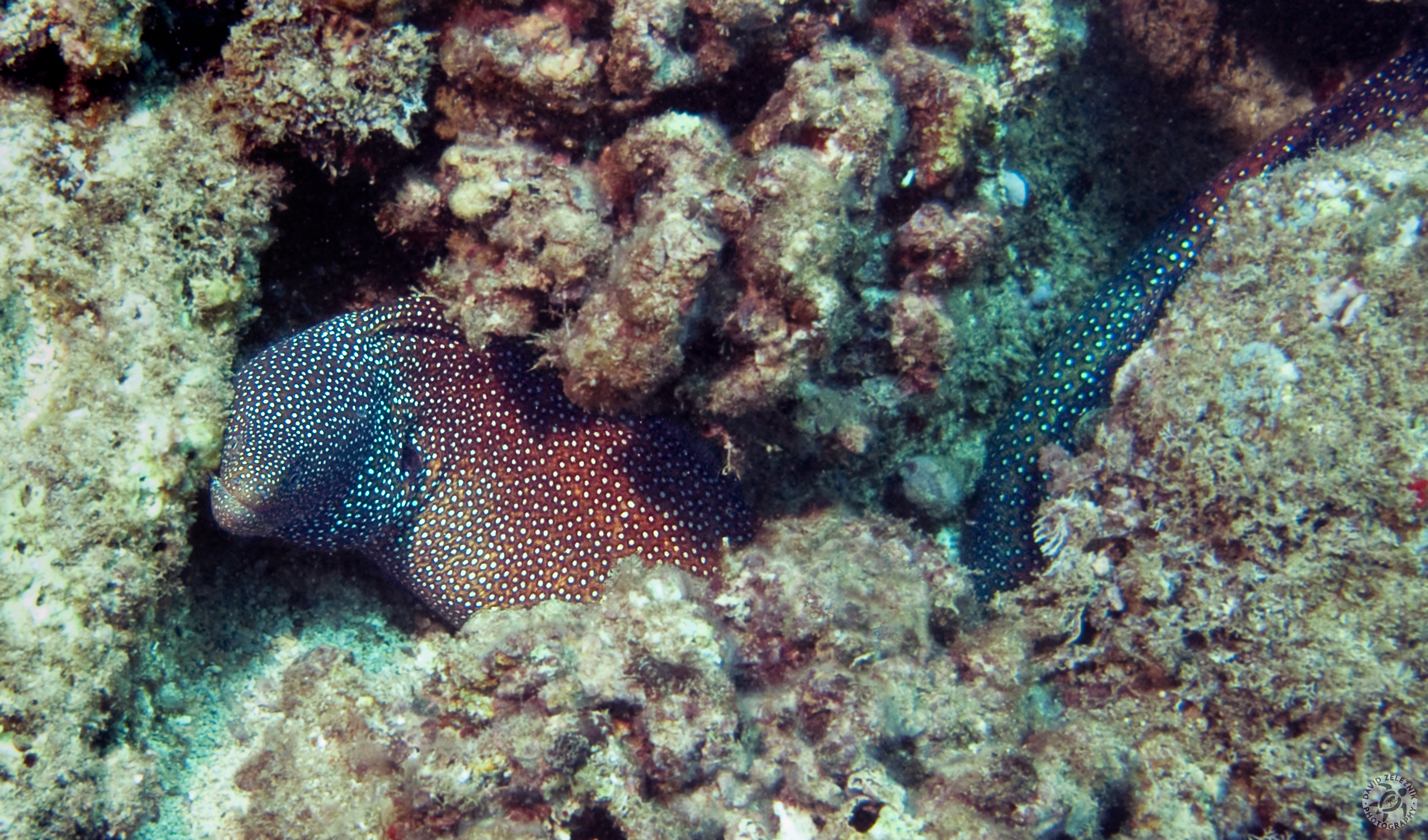 Hawaii2009-032