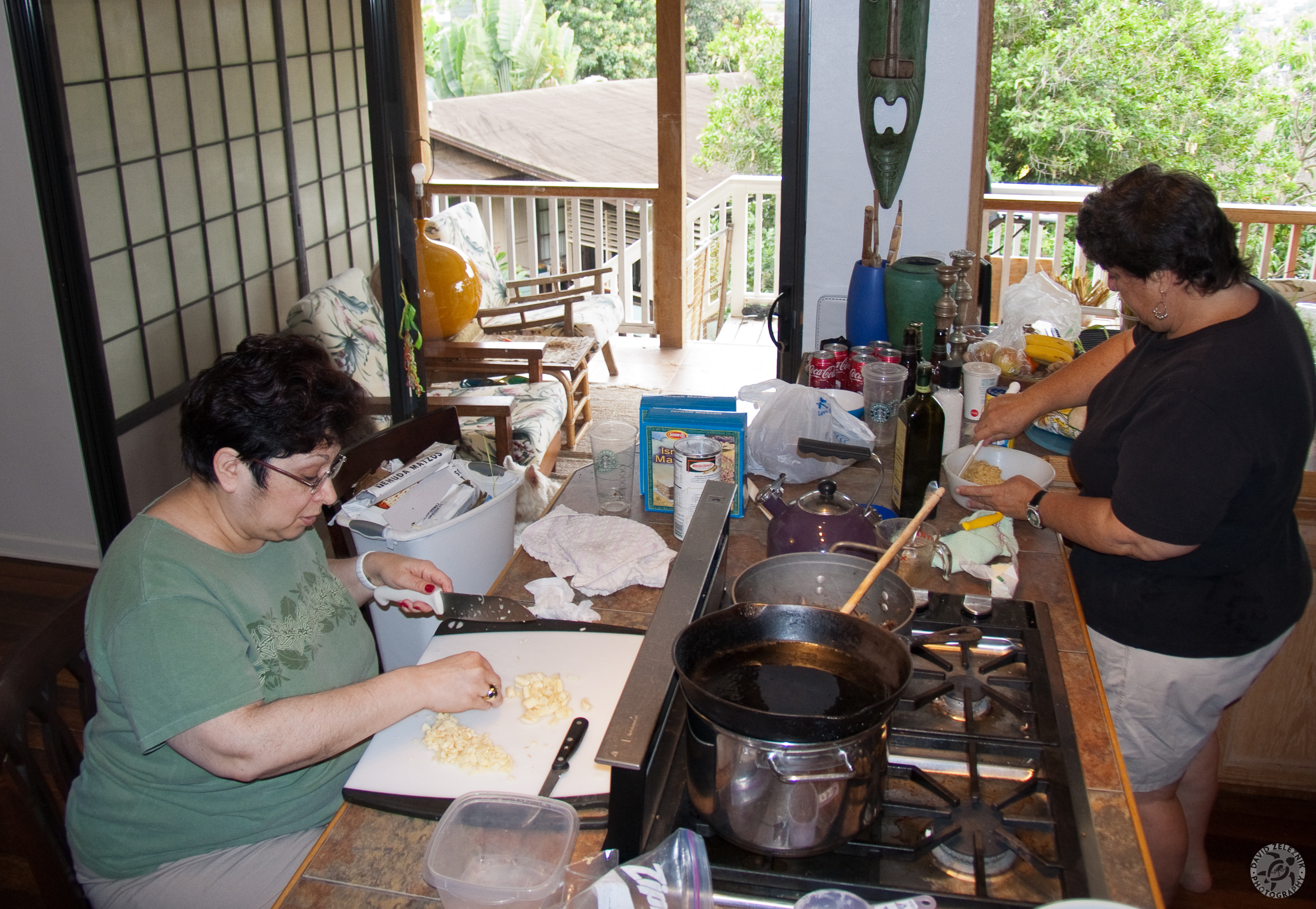 Hawaii2009-049