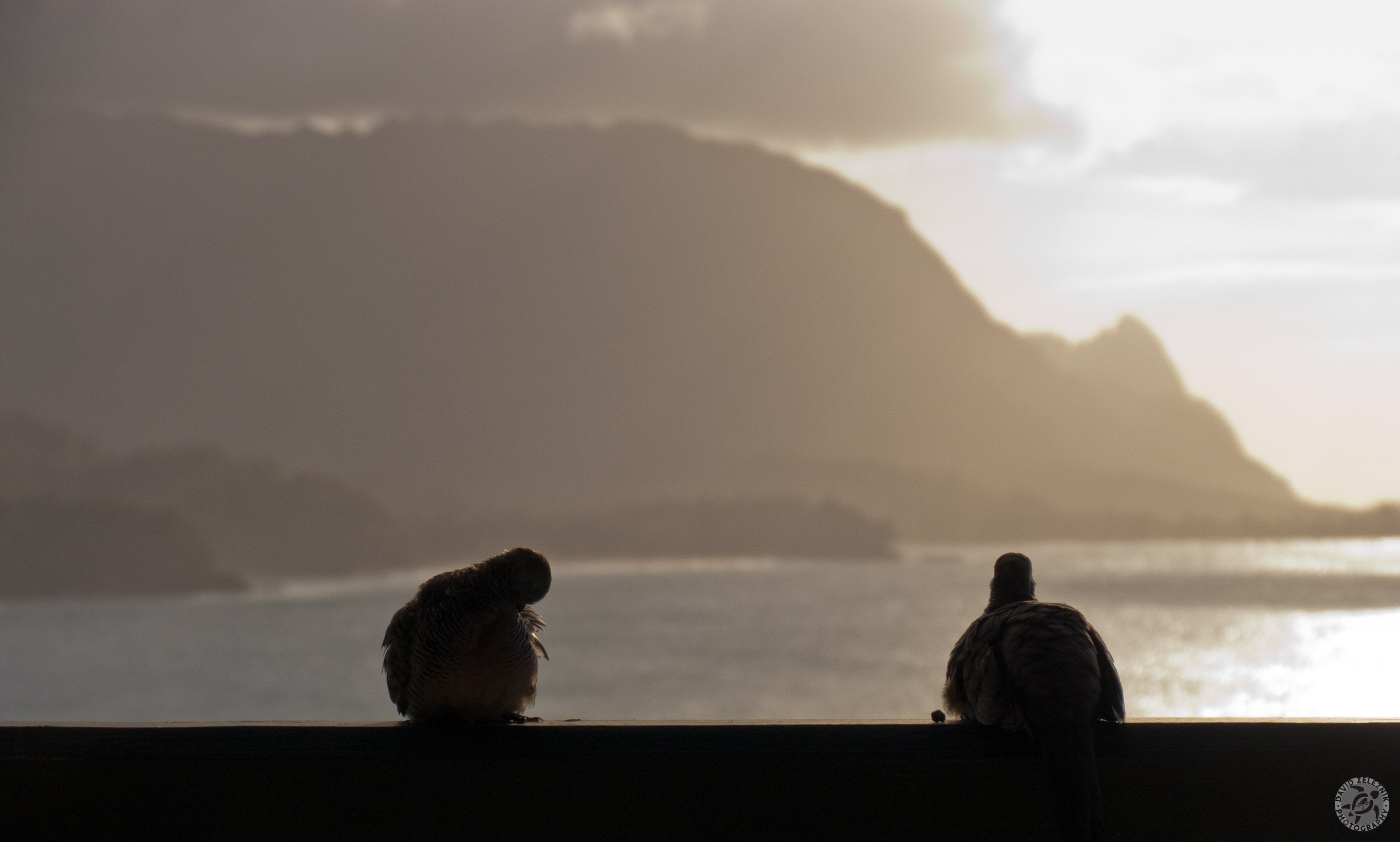 Hawaii2009-099