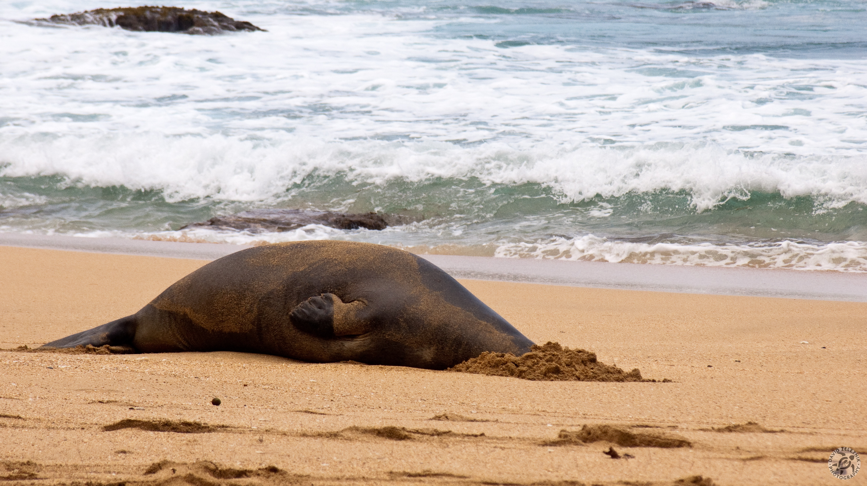 Hawaii2009-127
