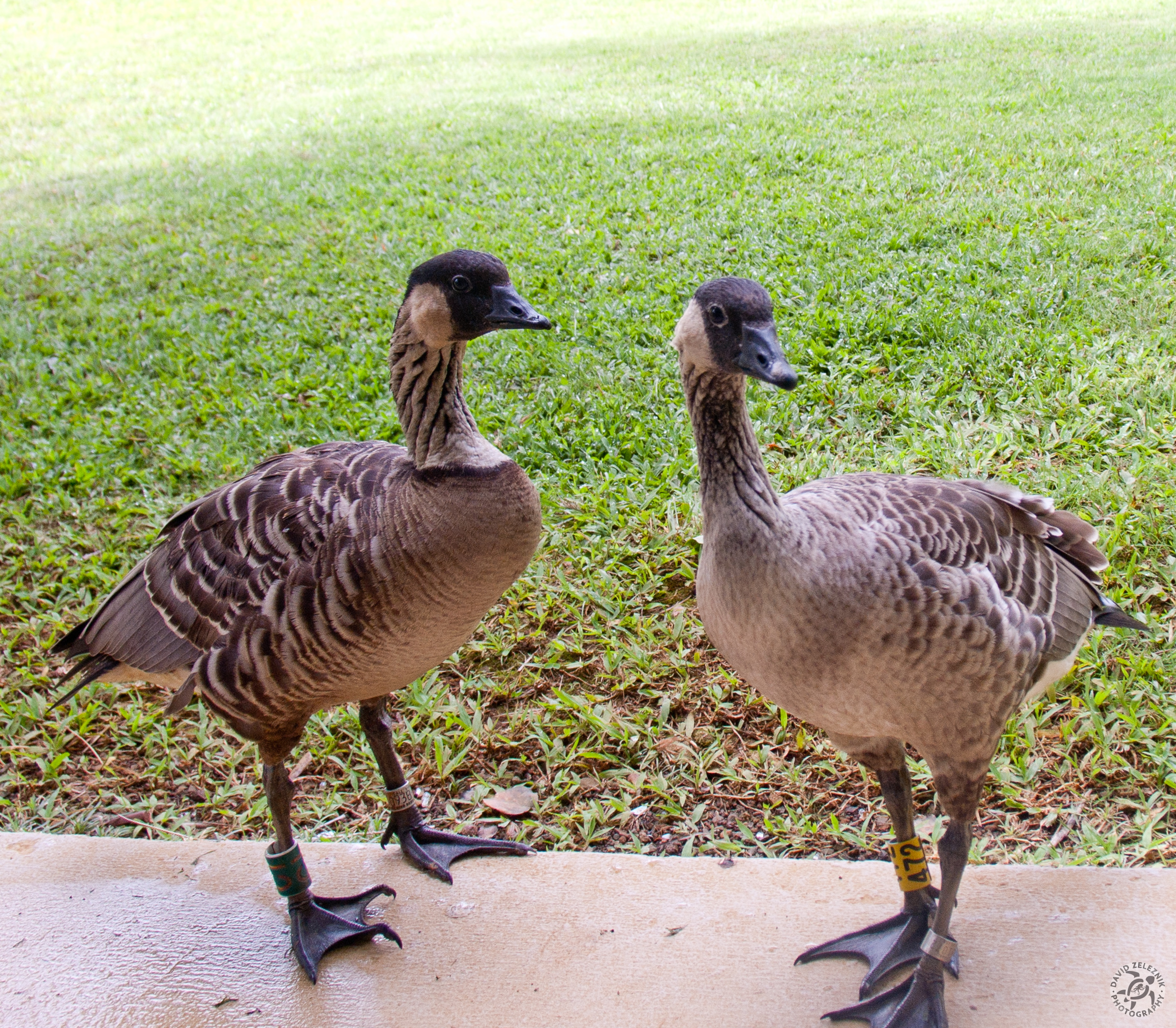 Hawaii2010-176