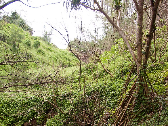 Later Sunday morning, I decided to try hiking down to Queen Emma's bath May 2, 2010 10:10 AM