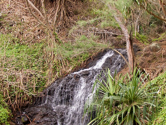 Small waterfall along the steep path down to Queen Emma's Bath May 2, 2010 10:12 AM
