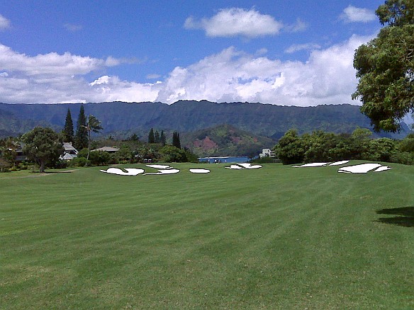While Dave was diving, Max golfed at the Princeville Makai Course May 4, 2010 11:29 AM