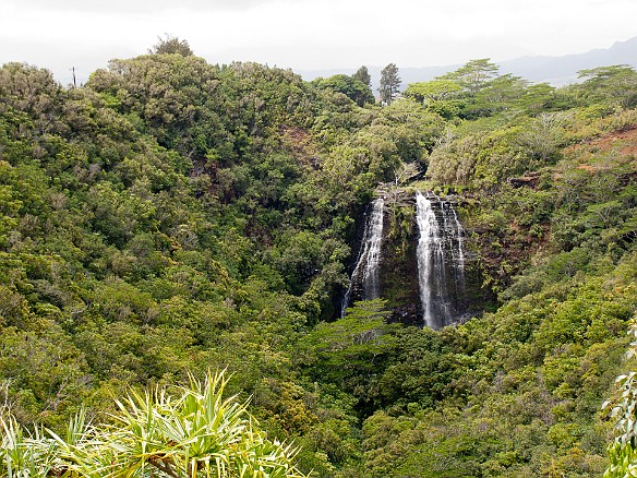 On the other side of the road from the river is a view of Opaeka'a Falls, which are over 150 ft tall May 6, 2010 12:50 PM