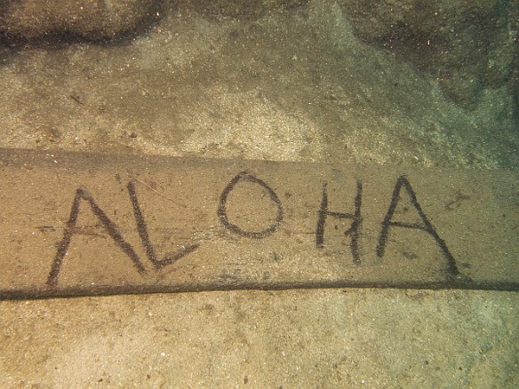 Rounding a head of coral at Tunnels beach was this welcome sign lying on the bottom May 15, 2012 9:26 AM : Diving, Kauai, Tunnels Inner Reef