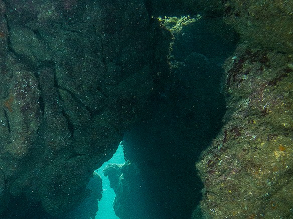 Tunnels is so-named because of the tubular surf-break during the winter. However, it is very appropriate for the underwater topo of many swim-throughs, channels, and canyons. May 18, 2012 10:55 AM : Diving, Kauai, Tunnels Outer Reef