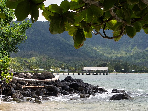 We stumble along the rocky shore, crossing streams, and tripping on roots of trees that Stan cannot identify. Meanwhile, Stan runs backwards in front of us, clapping his hands like a drill sergeant for us to keep up. This is a view of the historic Hanalei pier as we stumble among the shoreline brush to find the path up the bluff to the old resort area. May 16, 2012 1:00 PM