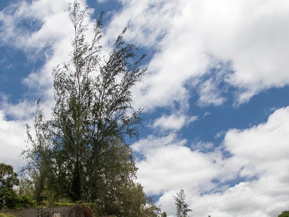 Another view of the abandoned ruins of the old Club Med resort which closed decades ago. May 16, 2012 12:49 PM : Kauai