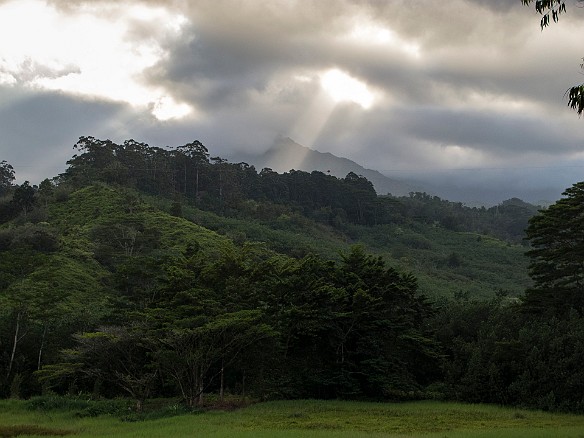 View from the arboretum May 19, 2012 5:52 PM : Kauai