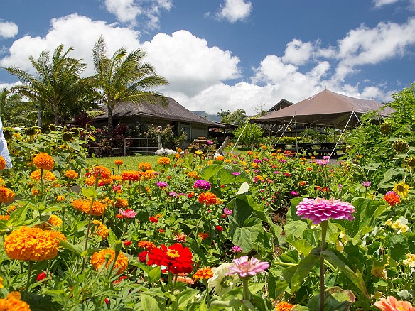 Common Ground is only open for breakfast and lunch. They do private events in the evenings and are planning to open a market by June 2012. May 20, 2012 12:22 PM : Kauai