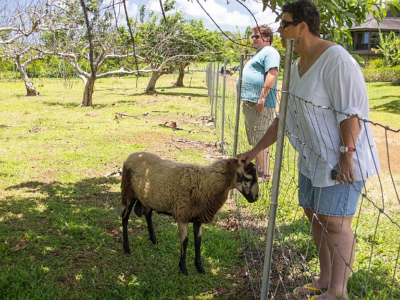 May 20, 2012 12:38 PM : Billy Laughlin, Debra Zeleznik, Kauai