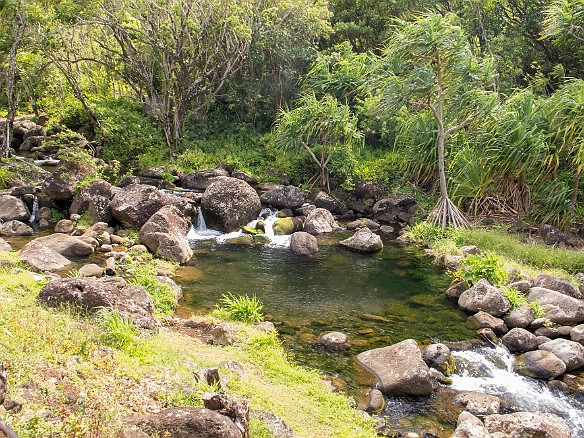 Farther into the valley are the many streams that descend and irrigate the taro ponds May 24, 2012 3:16 PM