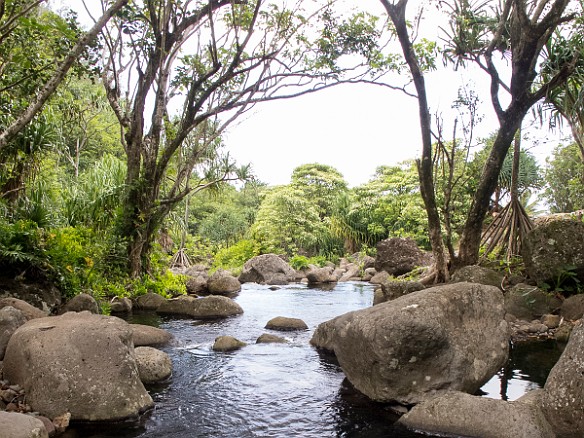 May 24, 2012 3:19 PM : Kauai