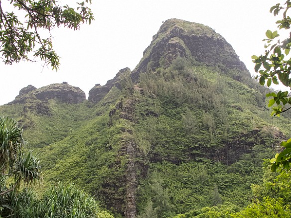 Max narrates from the guidebook as we reach a small rest stop with benches May 24, 2012 3:38 PM : Kauai, Maxine Klein