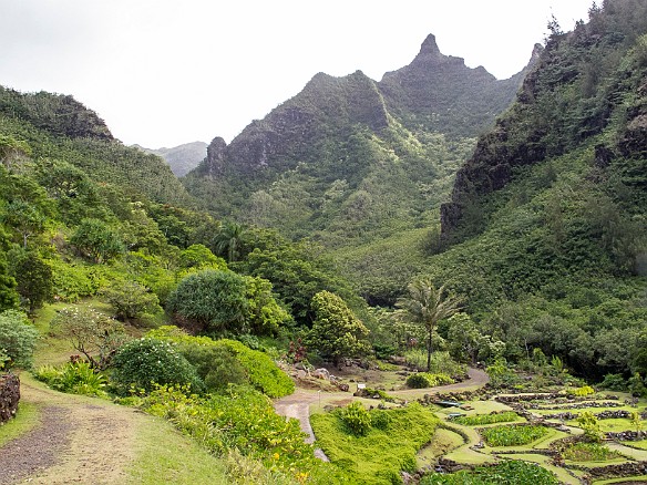 Our farewell view, deep into the back of Limahuli May 24, 2012 4:12 PM : Kauai